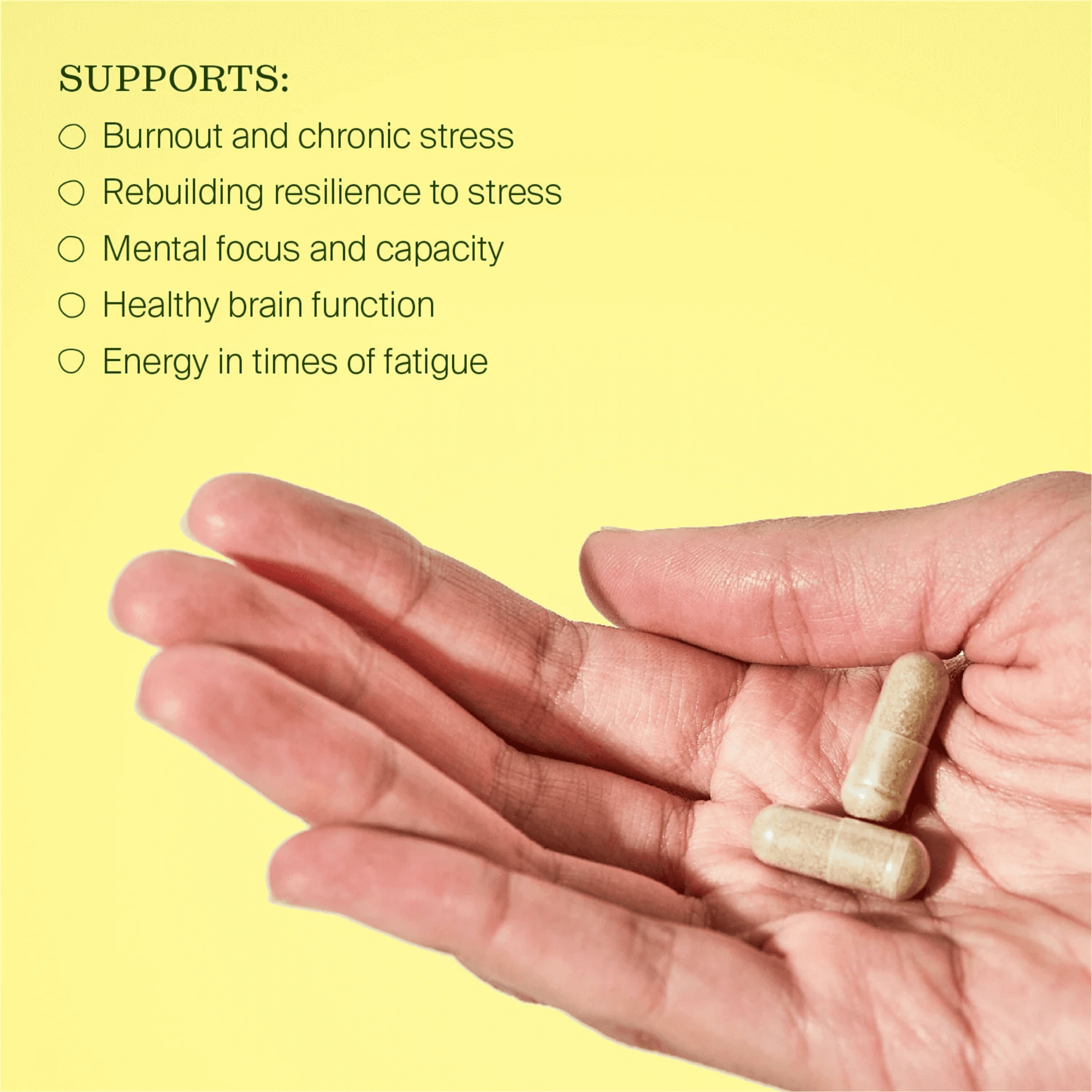 Bepure Burnout Rescue 60 Capsules