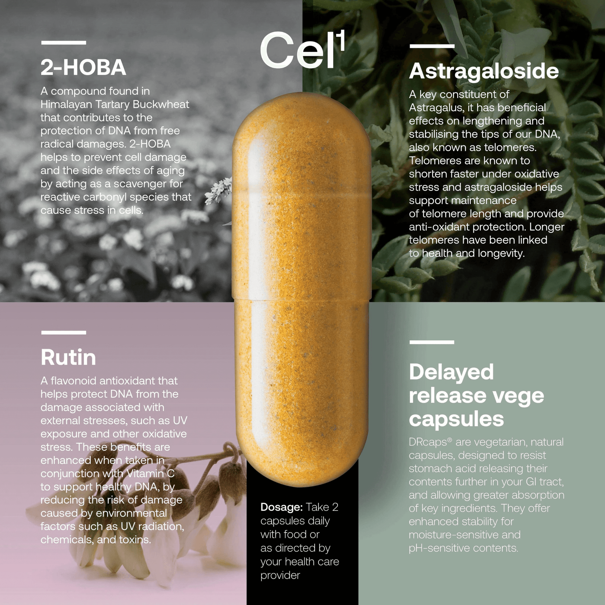 SRW Cel¹²³ Cellular rejuvenation series