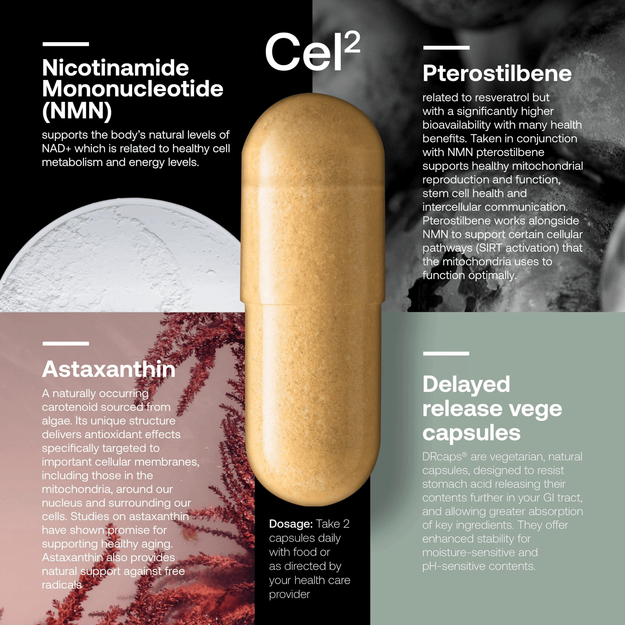 SRW Cel¹²³ Cellular rejuvenation series