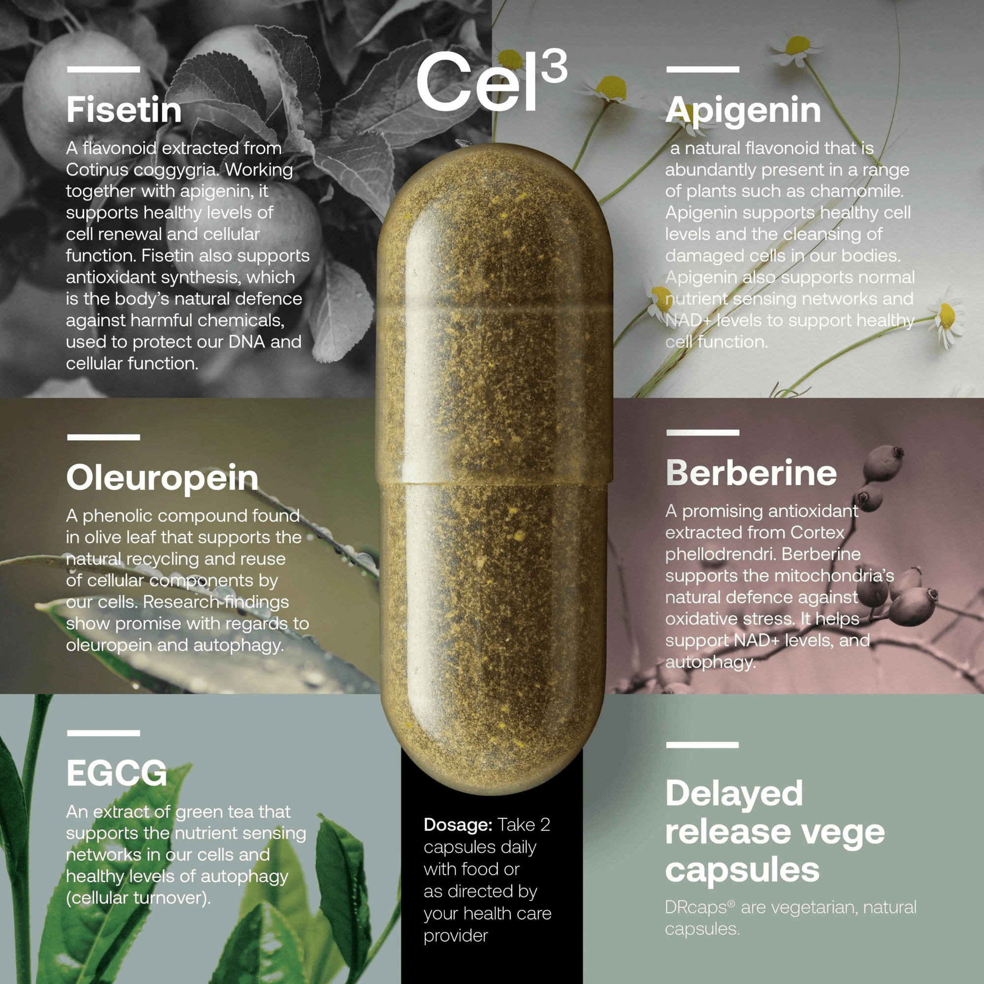 SRW Cel¹²³ Cellular rejuvenation series