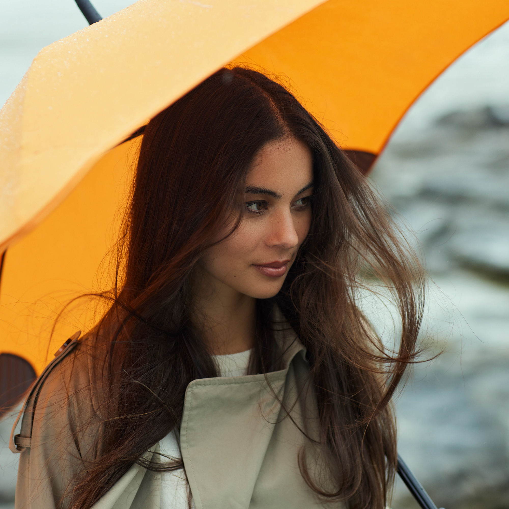 Blunt Classic Umbrella