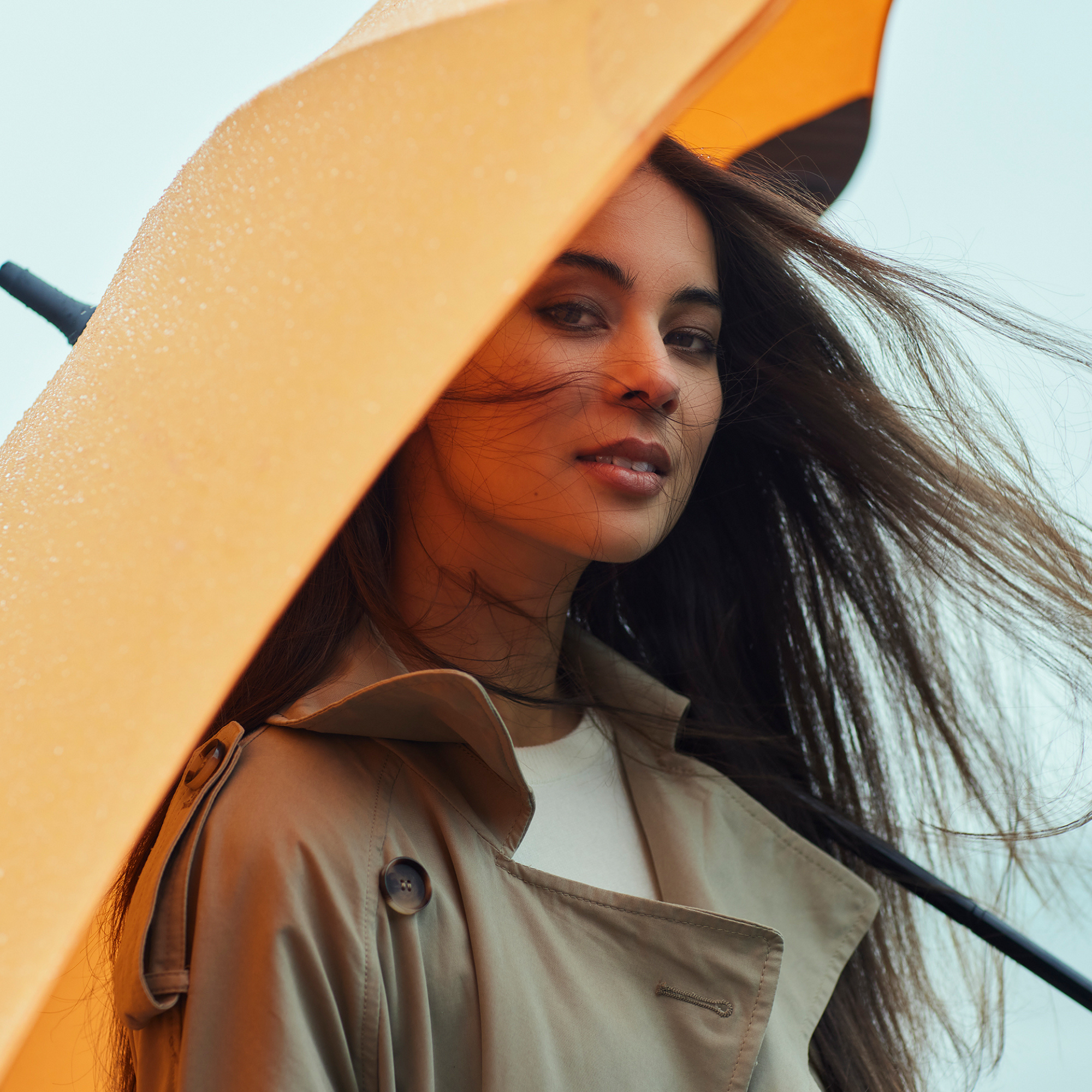 Blunt Classic Umbrella
