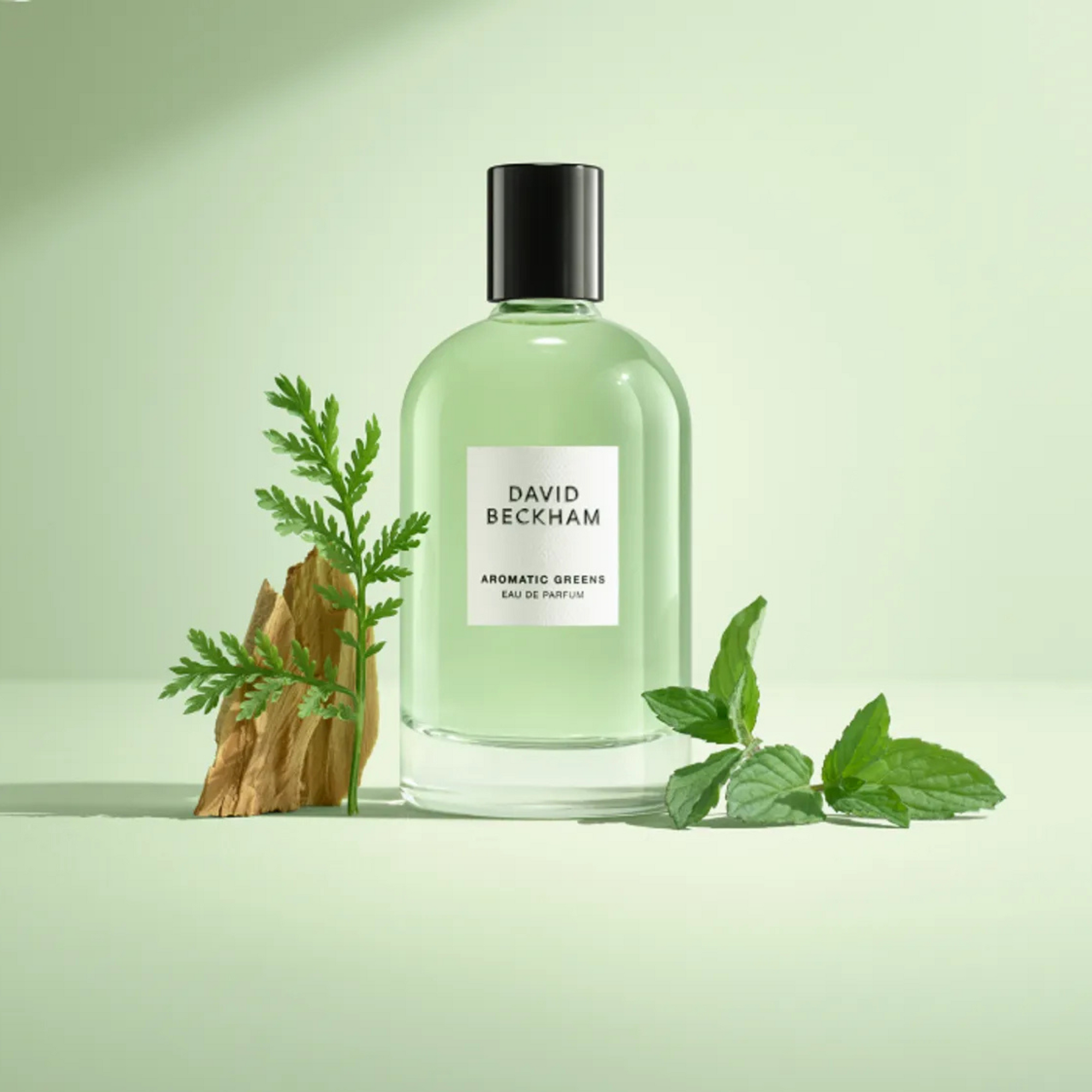 David Beckham Aromatic Greens Eau De Parfum 100ml