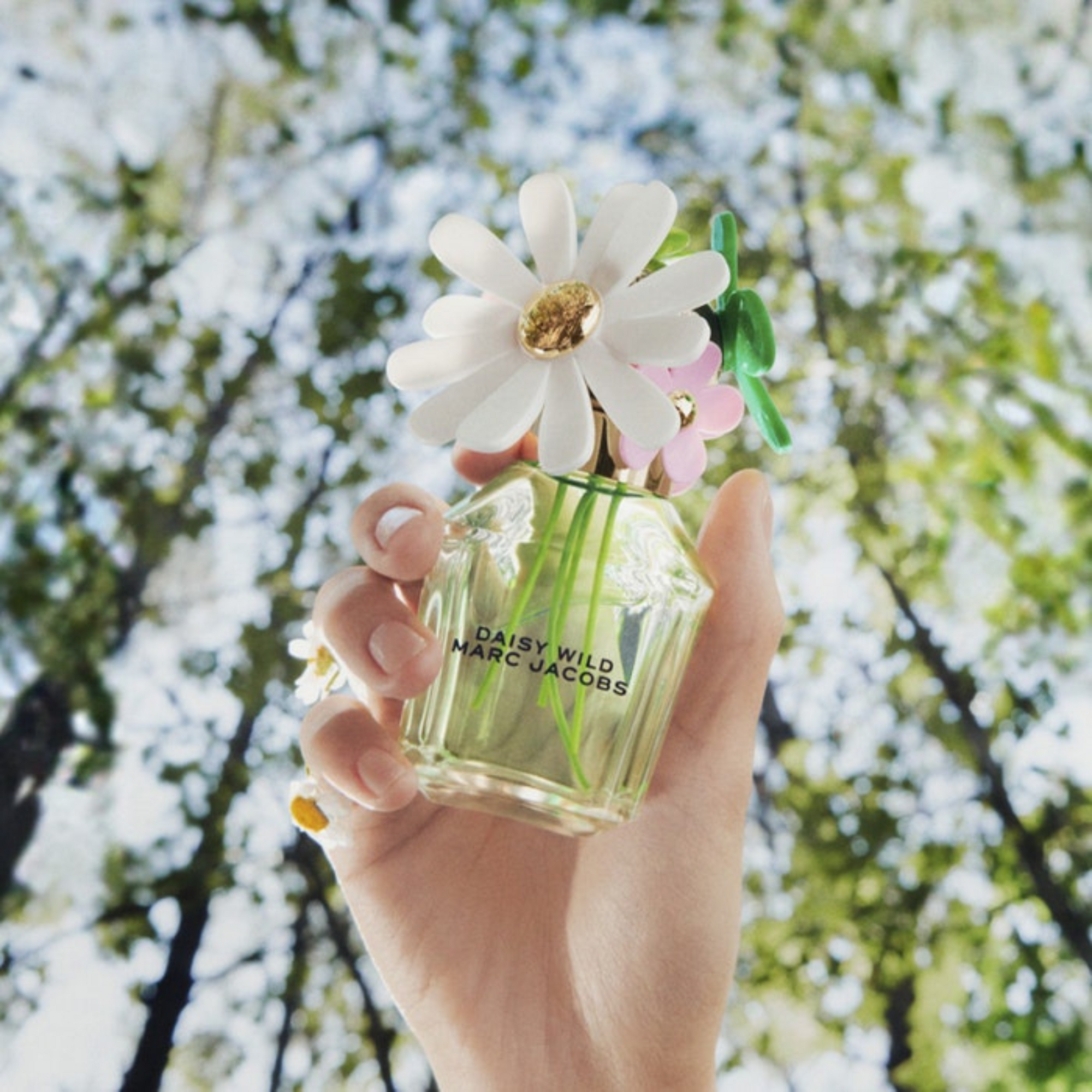 Marc Jacobs Daisy Wild EDP 50ml