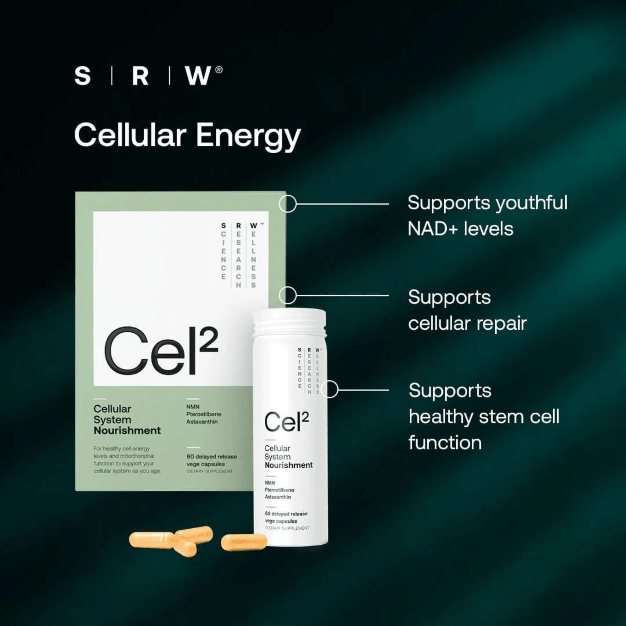 SRW Cel² Nourishment