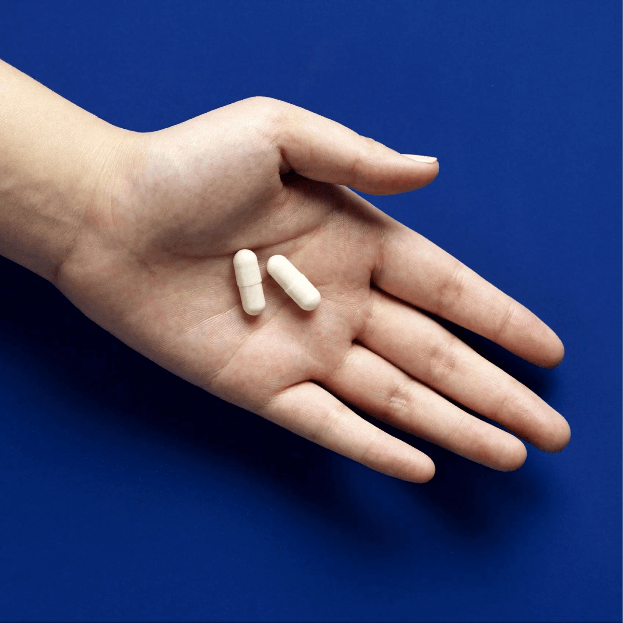 Thernomic Tri-Biotic Gut Shield