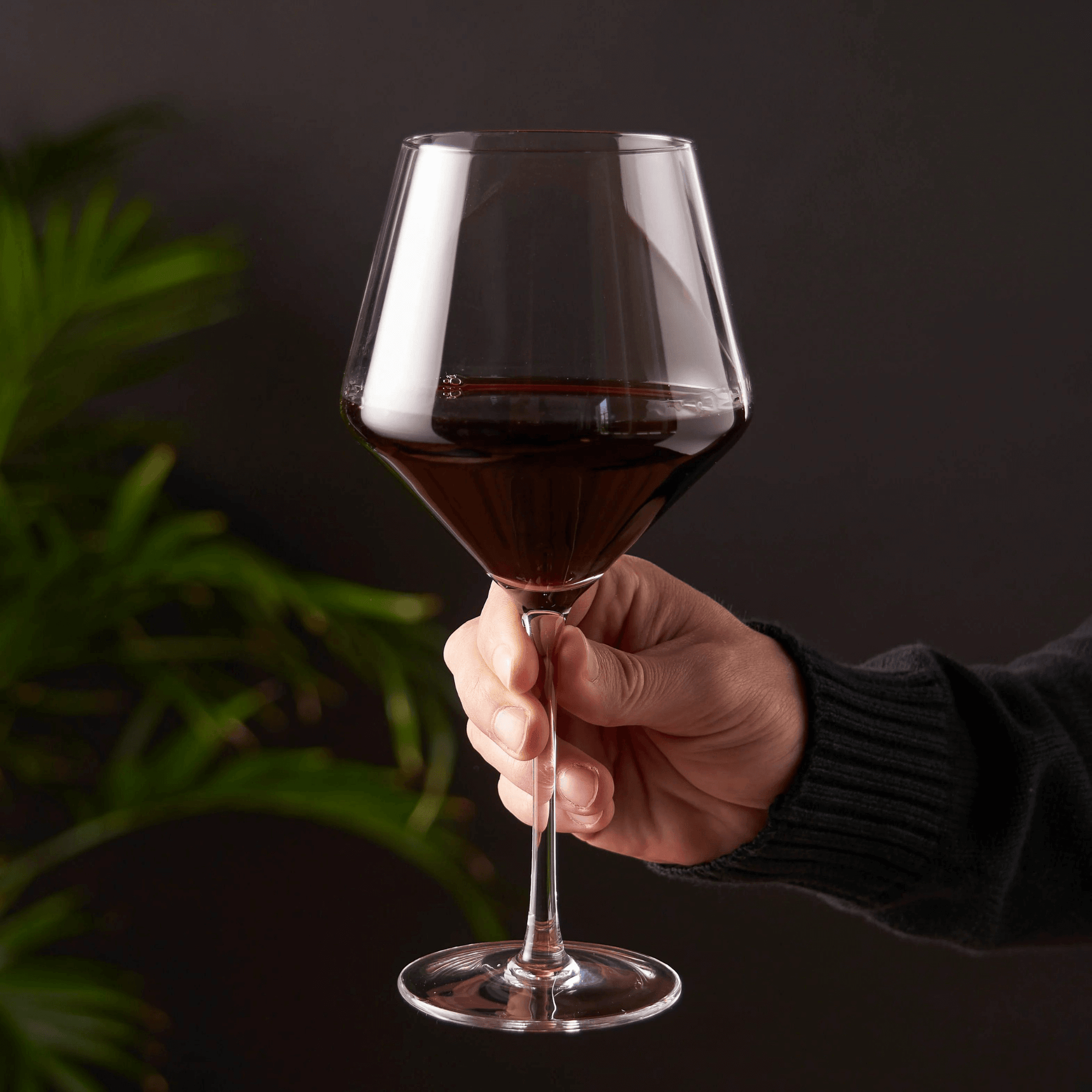 Viski Raye Crystal Burgundy glasses