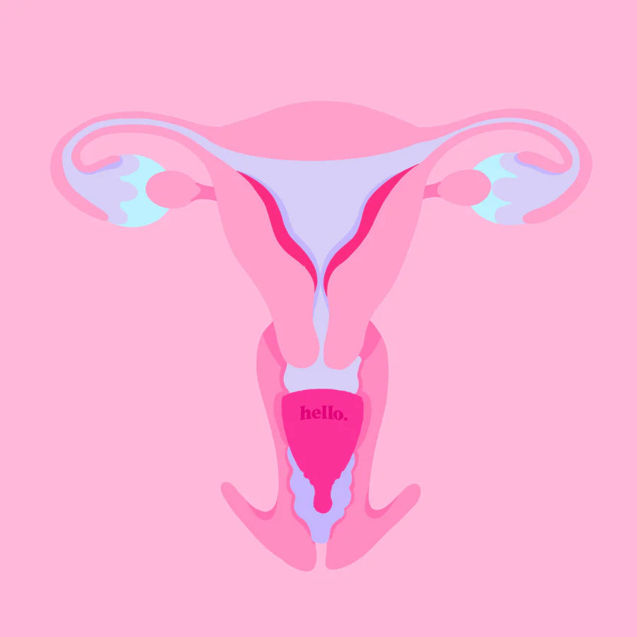 The Hello Cup - Average Cervix Cup