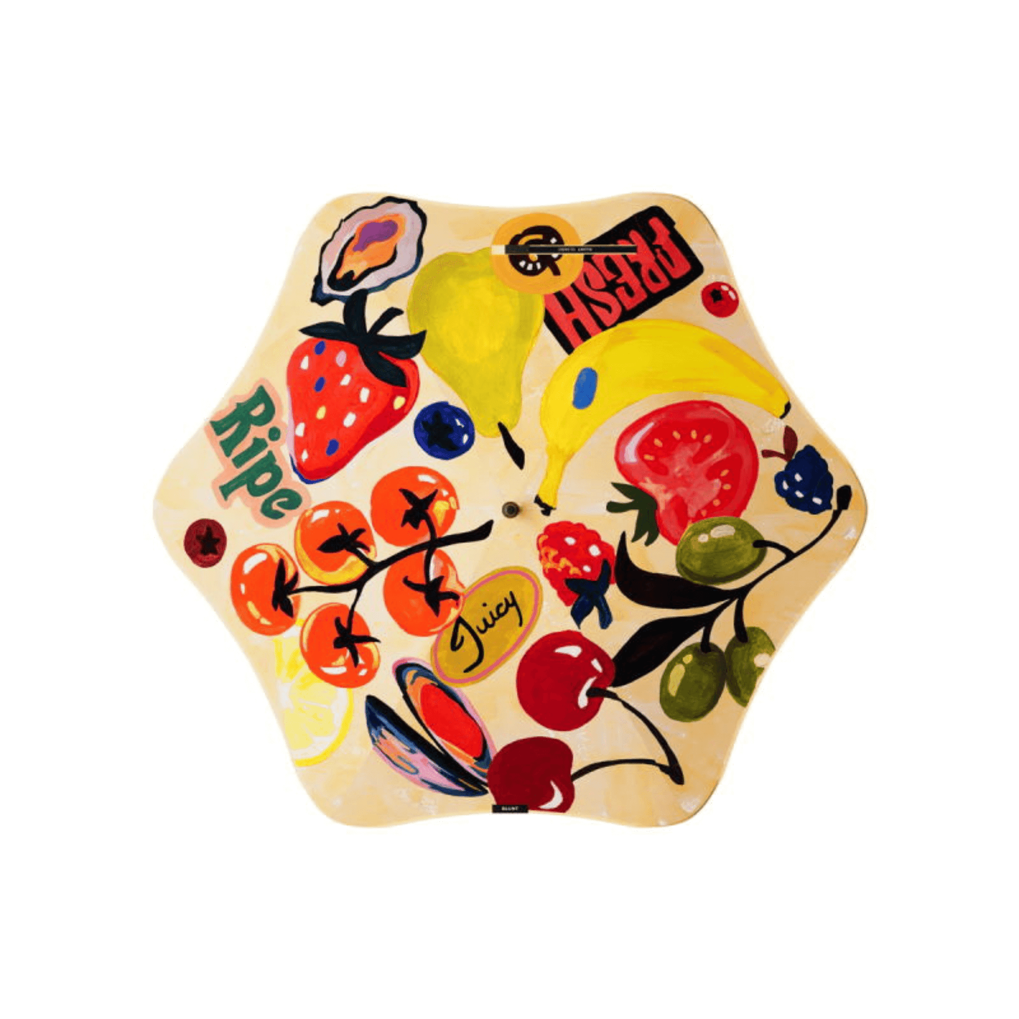 Blunt Umbrella Metro Studio Bon Birds eye view